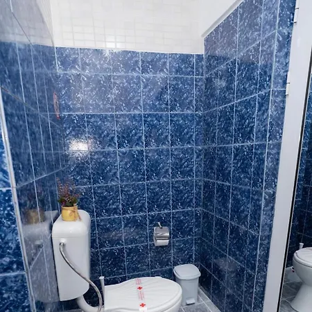 шарон * Petrics