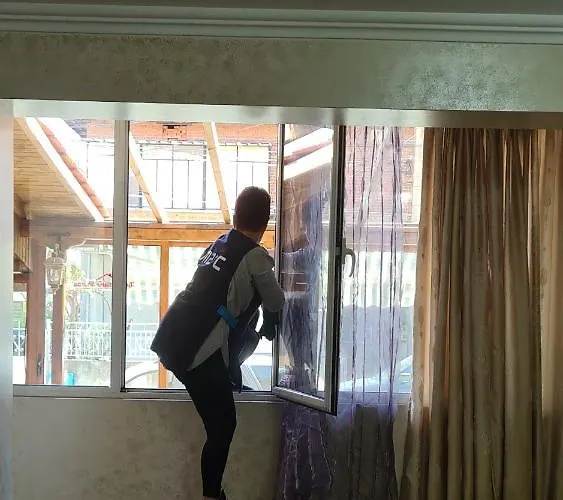 шарон * Petrič