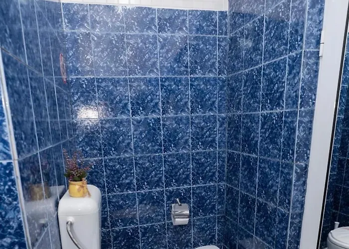 шарон * Petrič